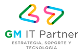 GM IT Partner